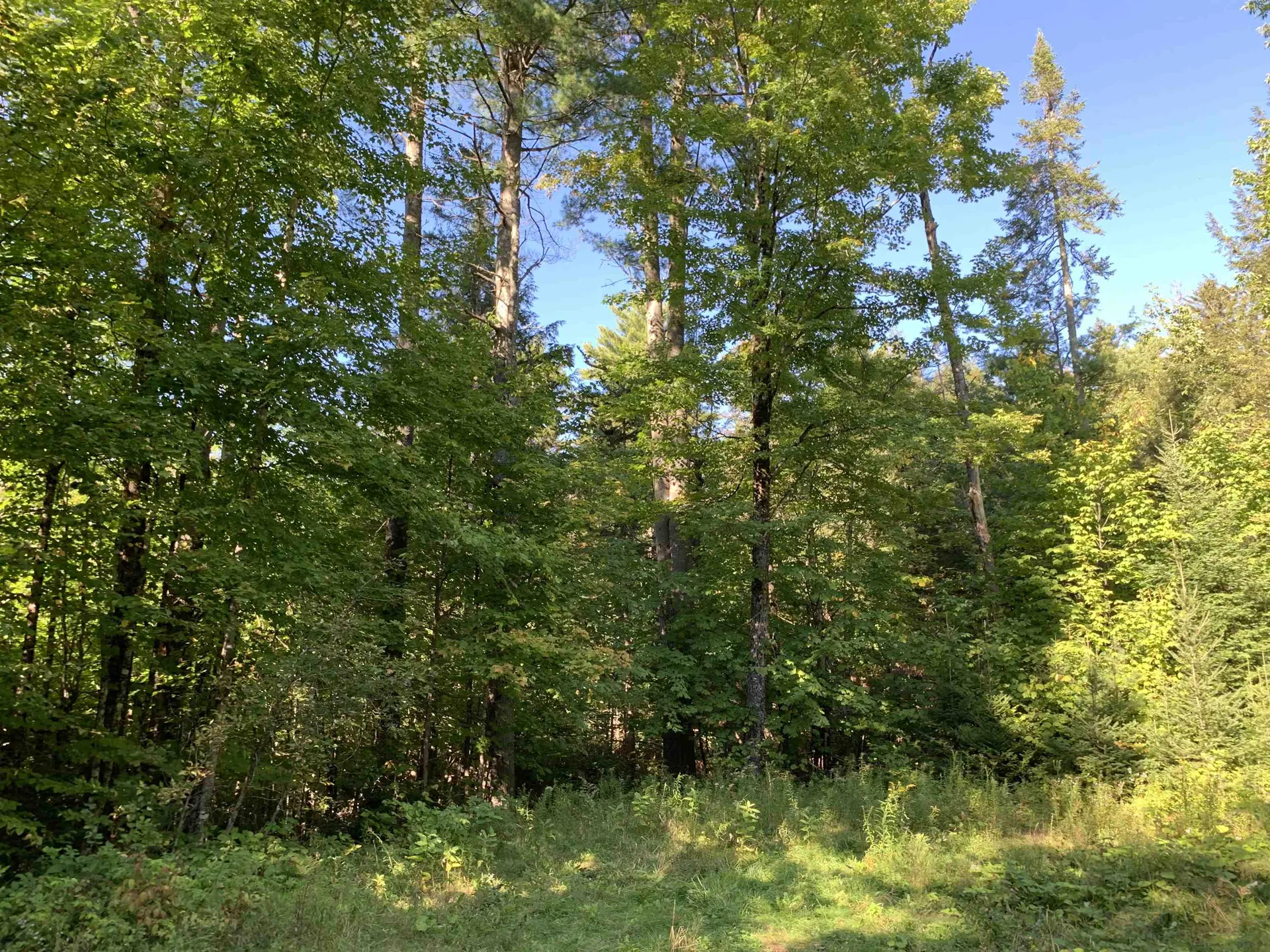 00 High Meadows Road Burke VT 05832