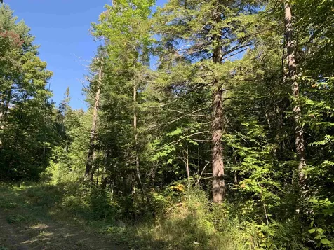 00 High Meadows Road Burke VT 05832