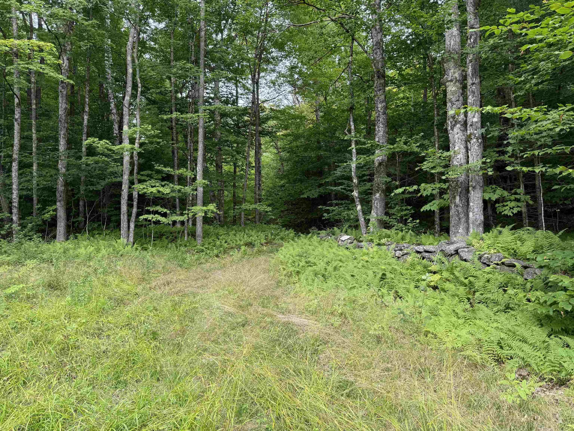 260 Manning Road Townshend VT 05353