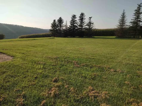 2141 South Randolph Road Randolph VT 05061