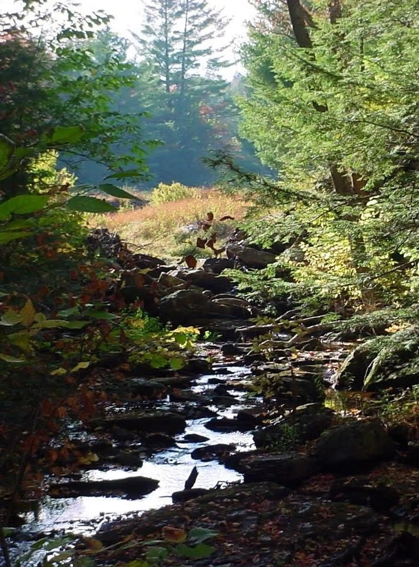 20 Finkel Road Wardsboro VT 05355