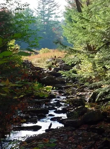 20 Finkel Road Wardsboro VT 05355