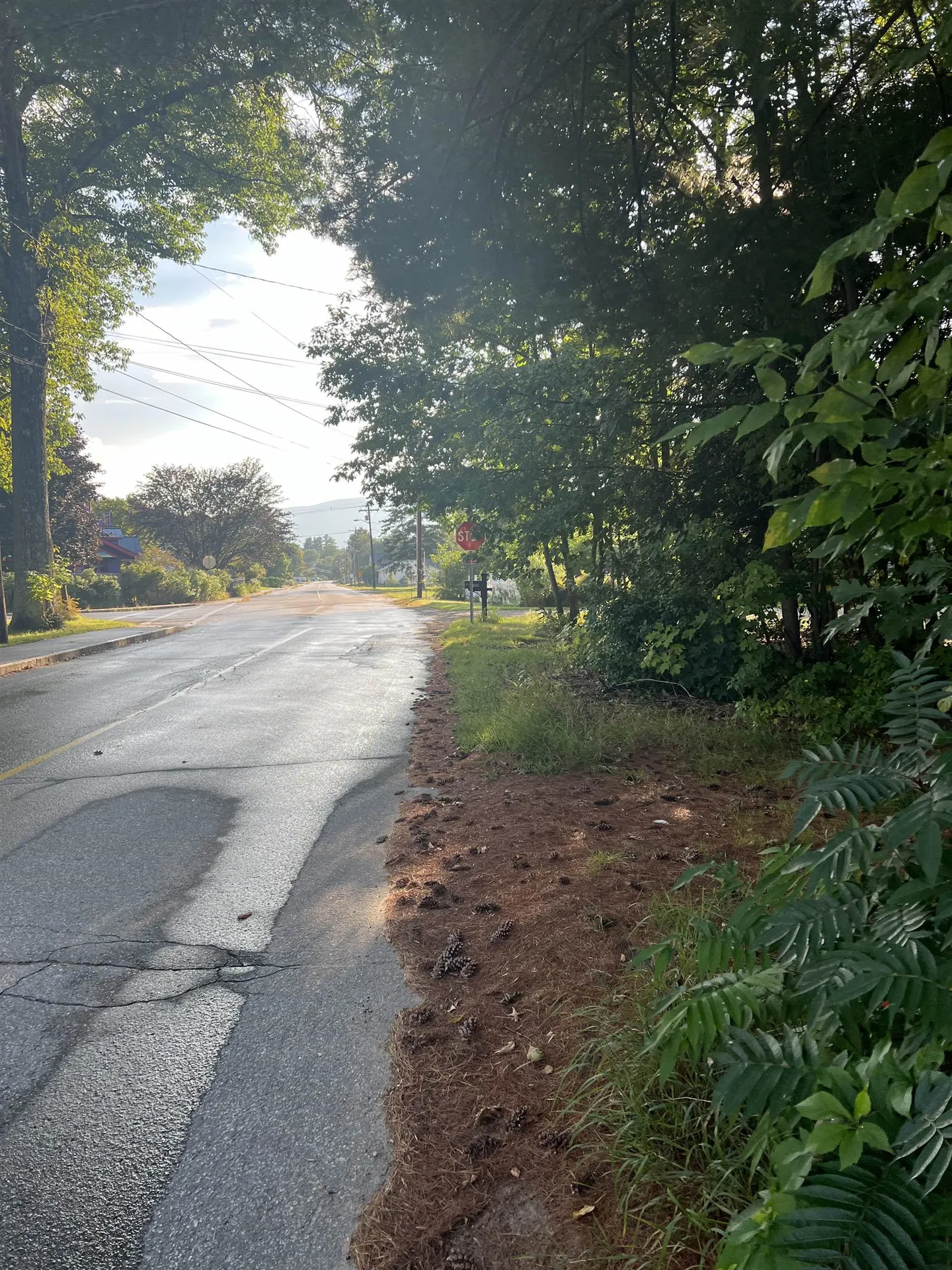 164 Pollard Road Lincoln NH 03251