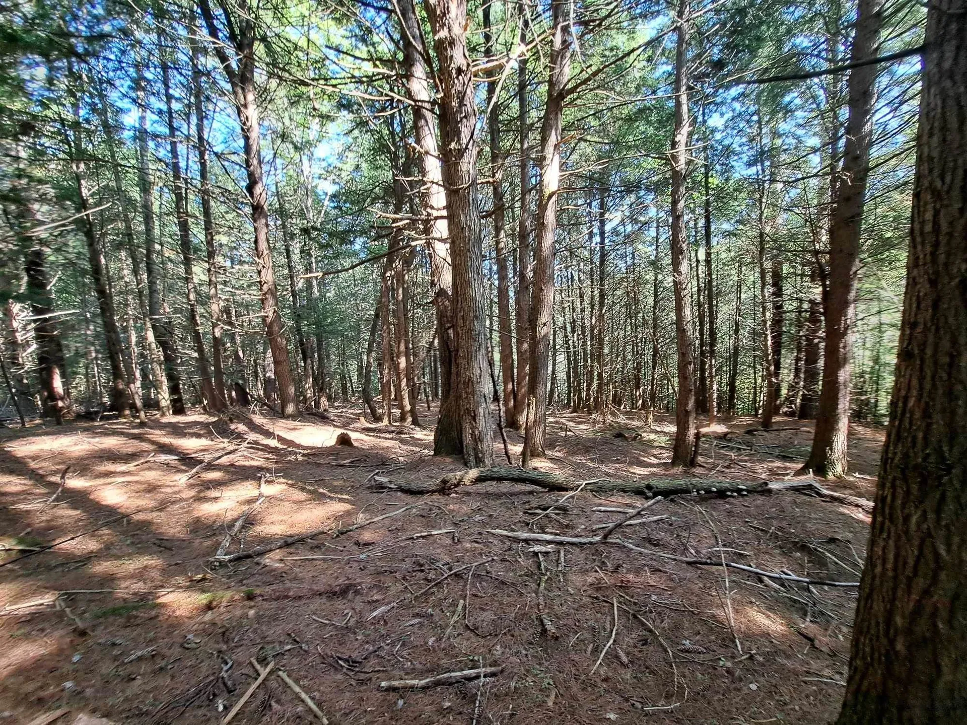 Waterthorn Road Thornton NH 03223