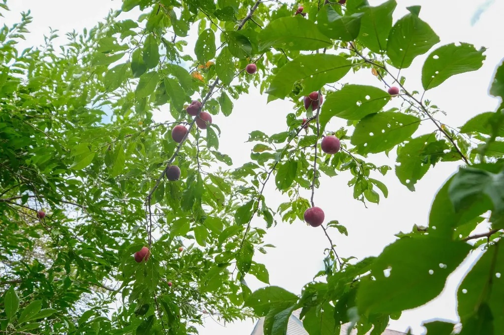 20 Chubb Hill Road Cavendish VT 05142