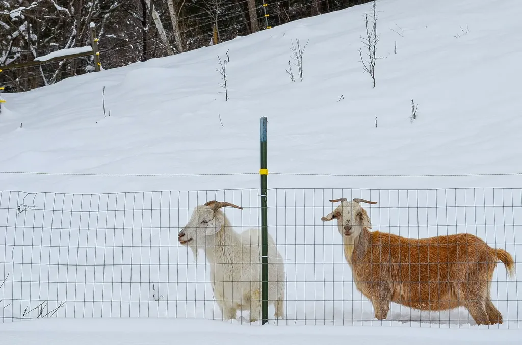 20 Chubb Hill Road Cavendish VT 05142