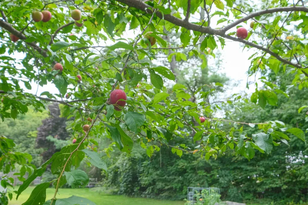 20 Chubb Hill Road Cavendish VT 05142