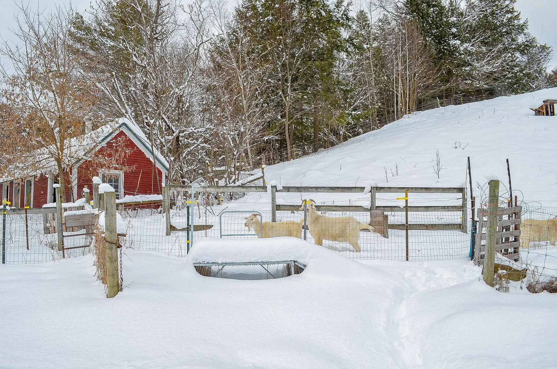 20 Chubb Hill Road Cavendish VT 05142