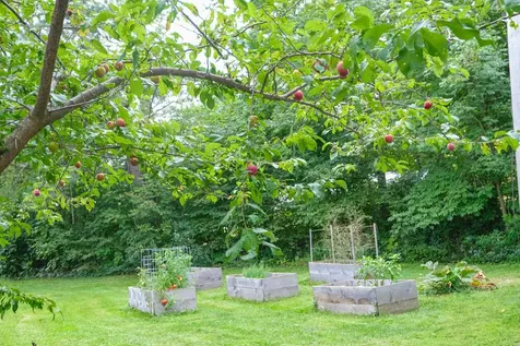 20 Chubb Hill Road Cavendish VT 05142