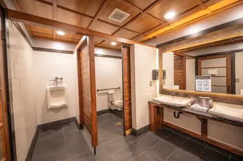 32d Silver Birch Dover VT 05356