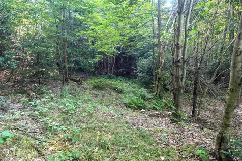 36-3 Checkerberry Lane Meredith NH 03253