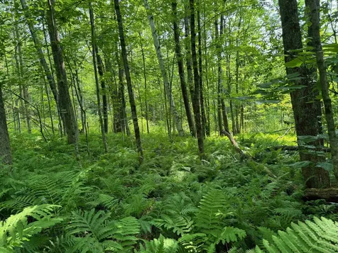 276 Sumner Road Stamford VT 05352