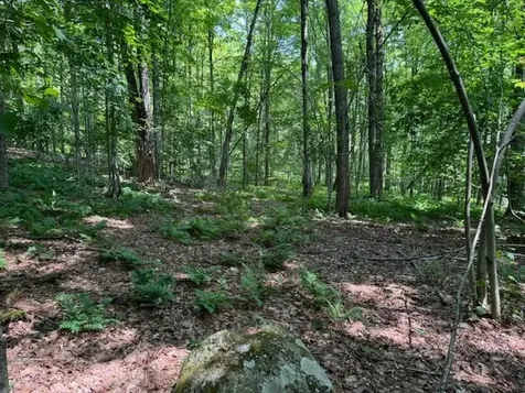 276 Sumner Road Stamford VT 05352