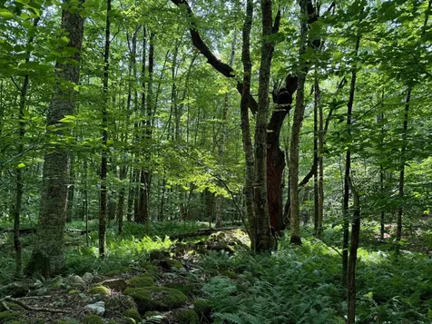 276 Sumner Road Stamford VT 05352