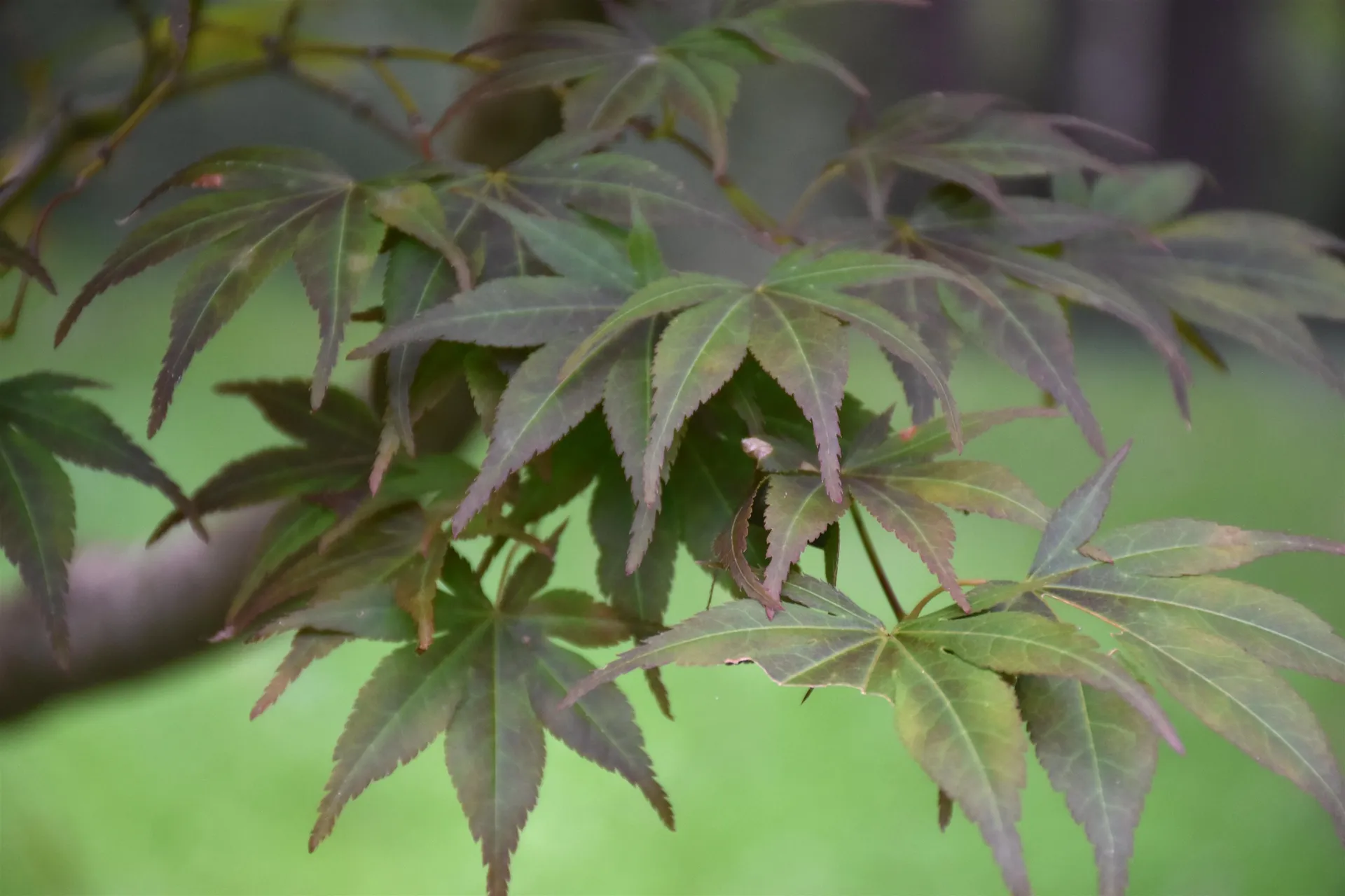 1741 Chandler Road Berlin VT 05663-6567