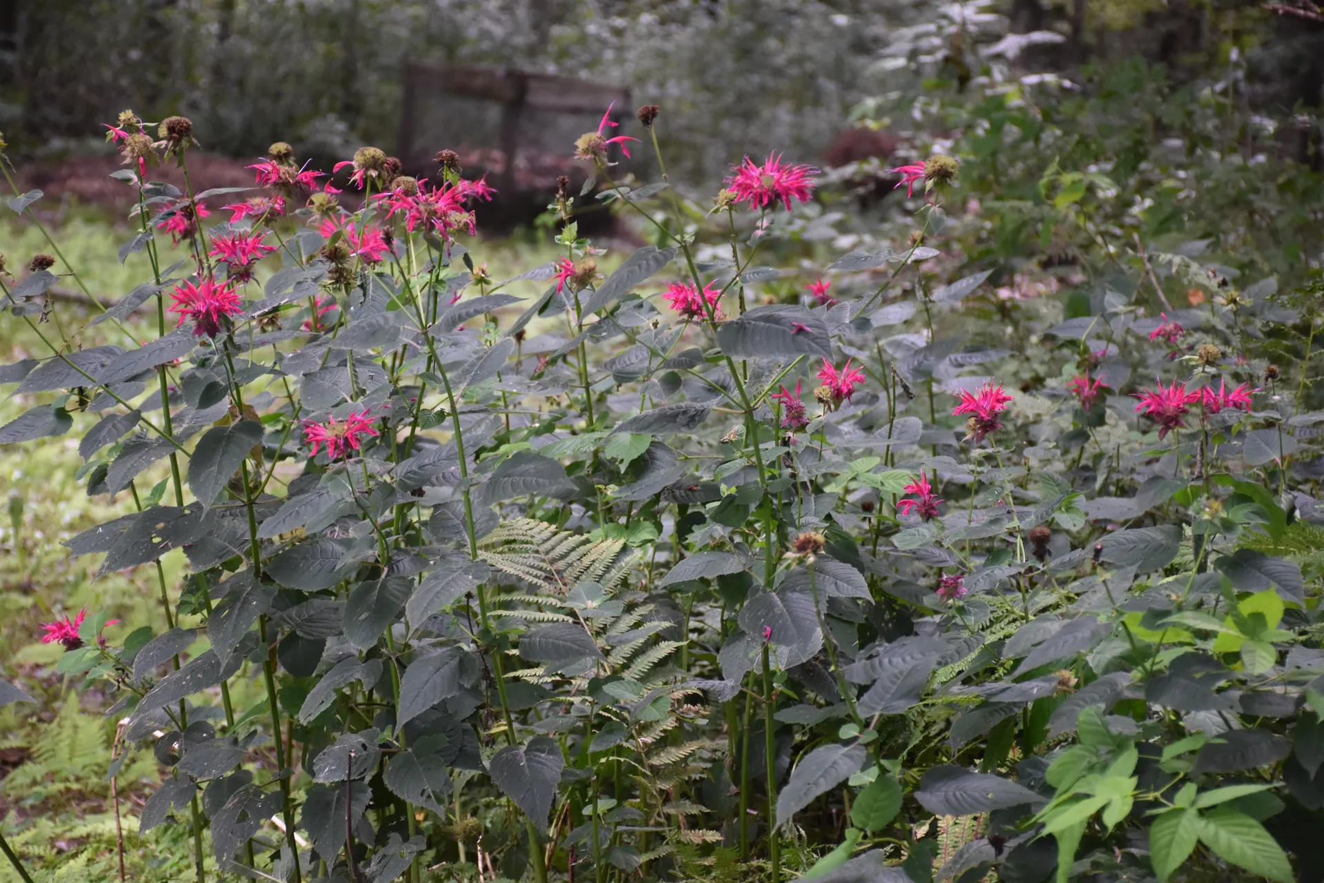 1741 Chandler Road Berlin VT 05663-6567