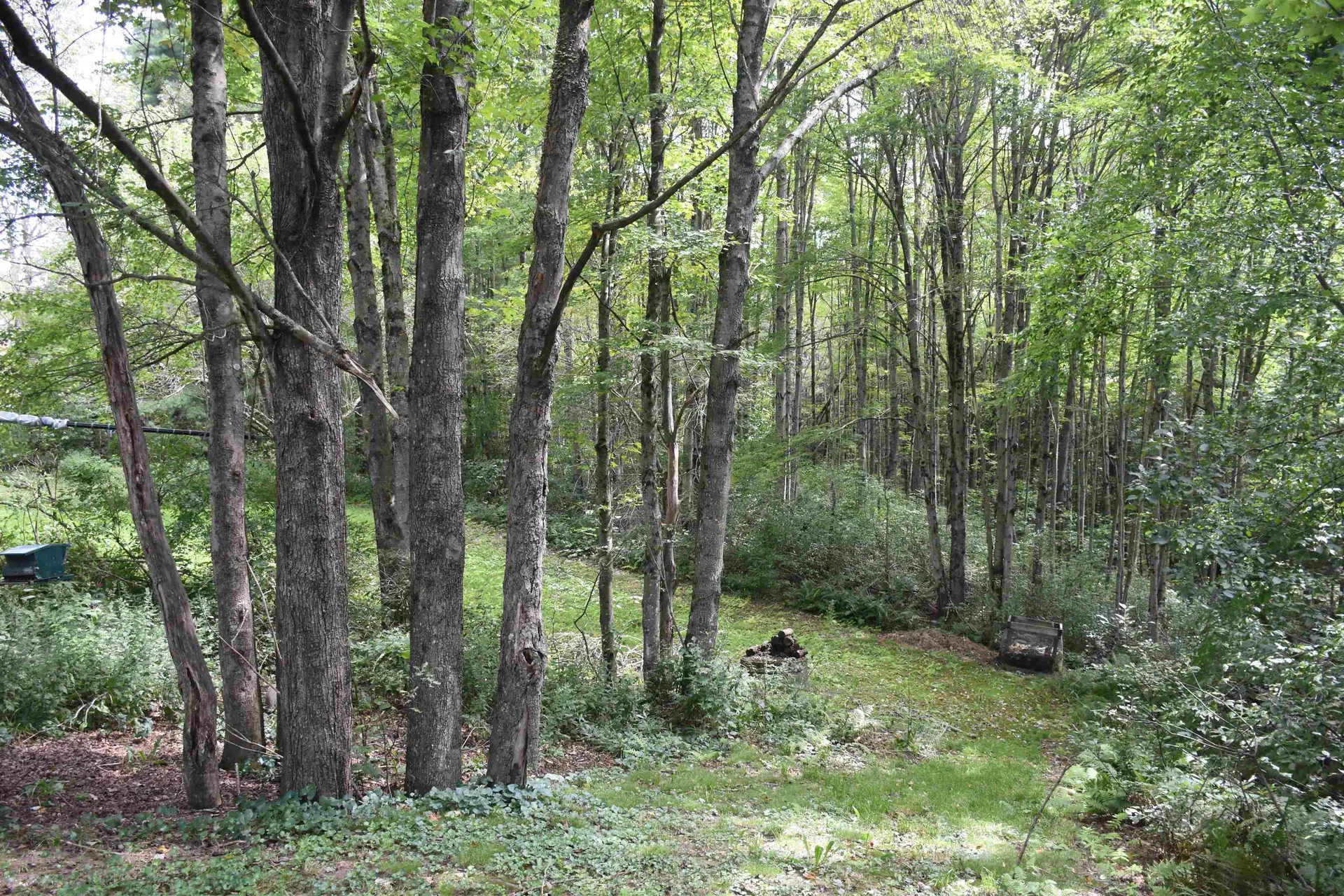 1741 Chandler Road Berlin VT 05663-6567