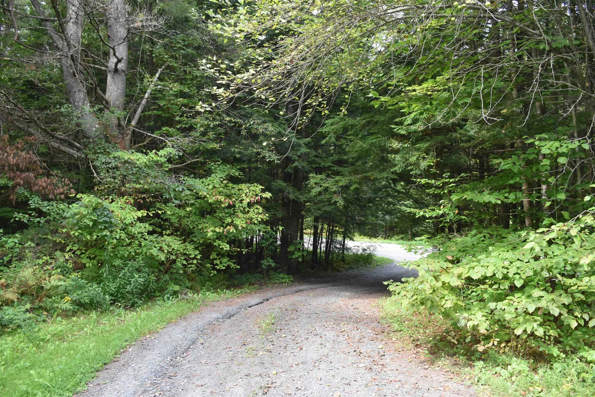 1741 Chandler Road Berlin VT 05663-6567