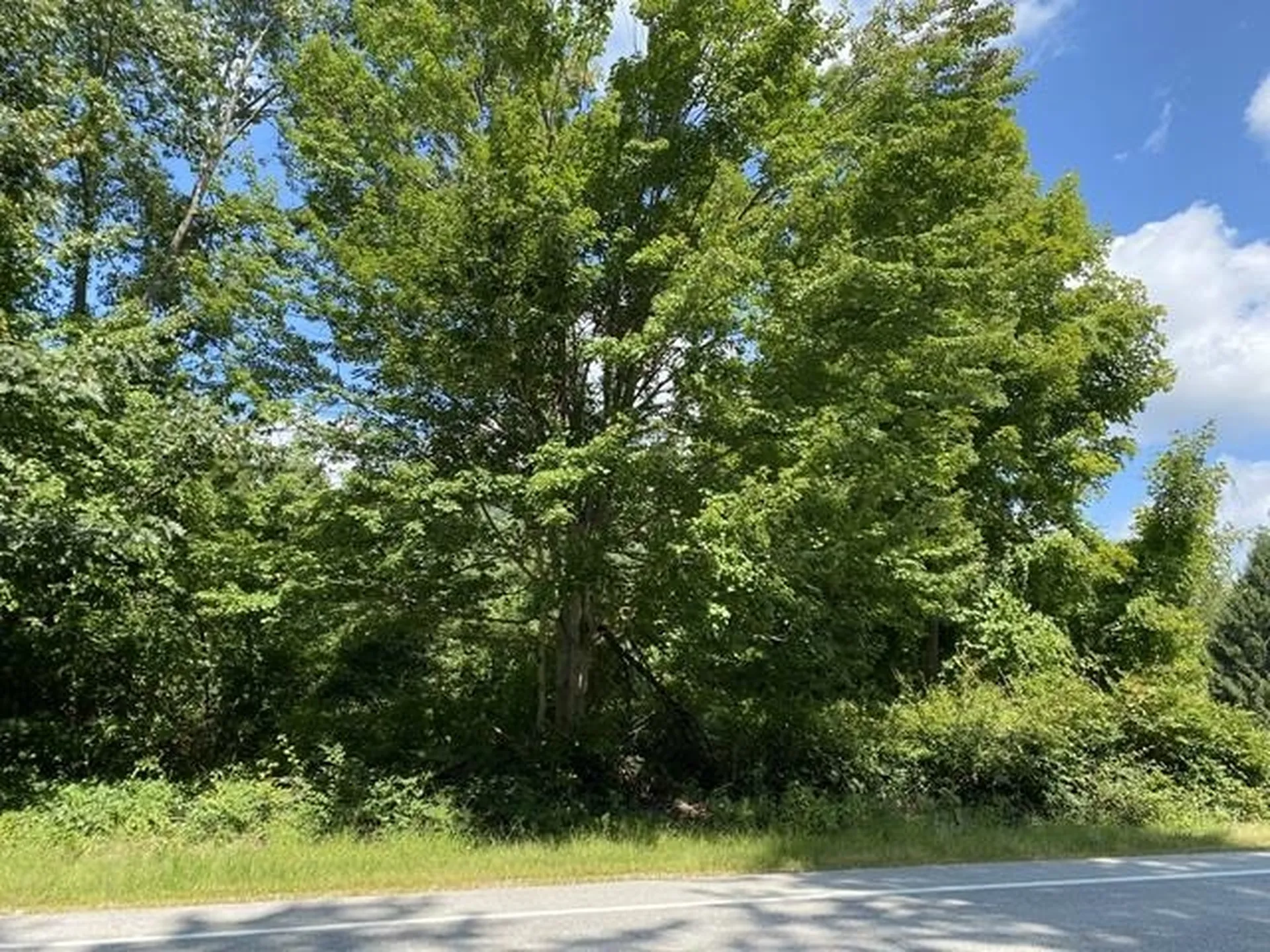 253 Tolend Road Dover NH 03820