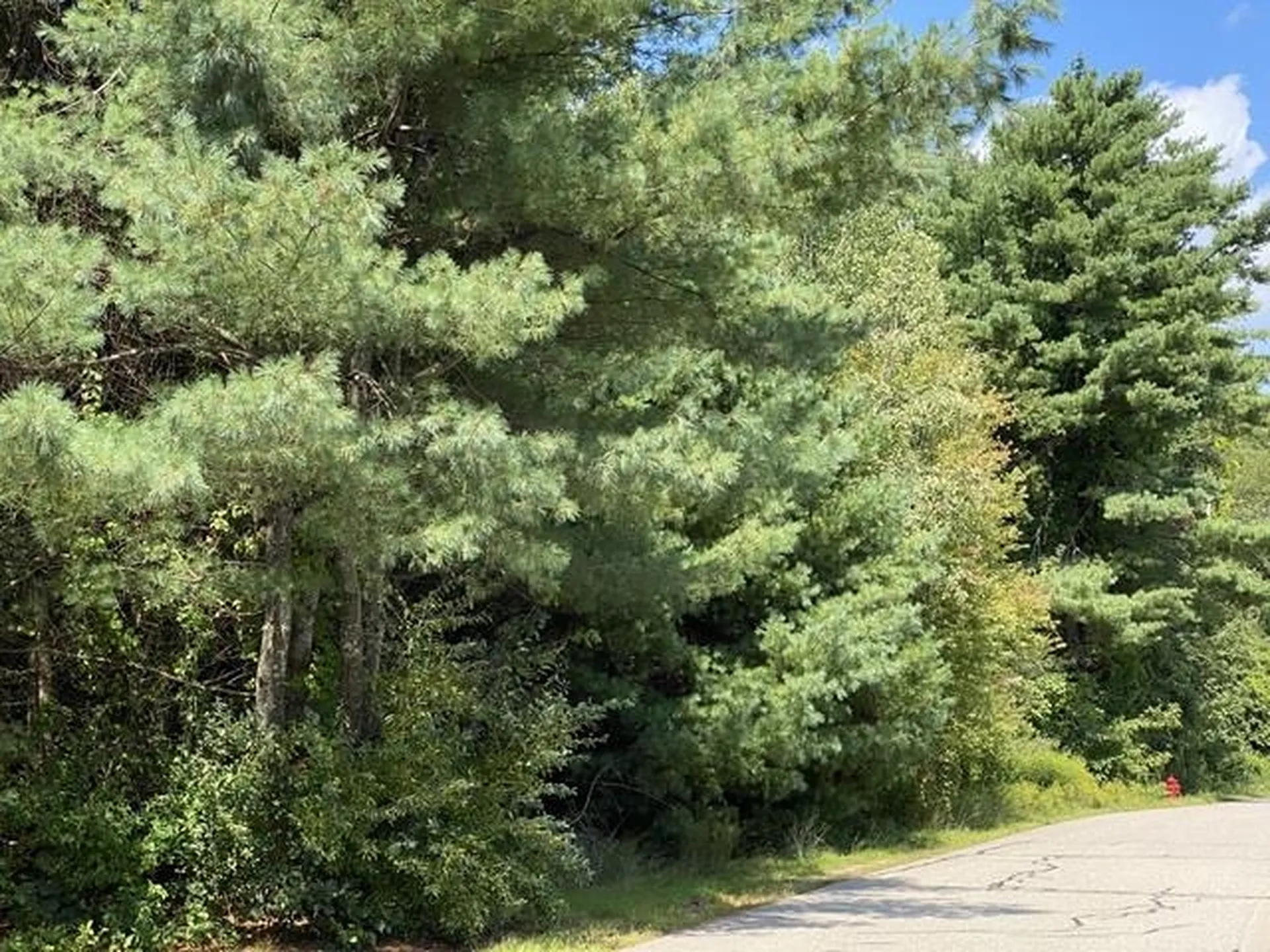 253 Tolend Road Dover NH 03820