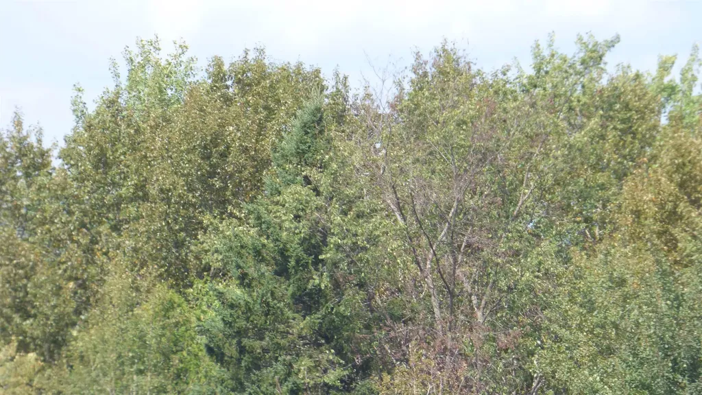 0 Bushey Hill Derby VT 05829