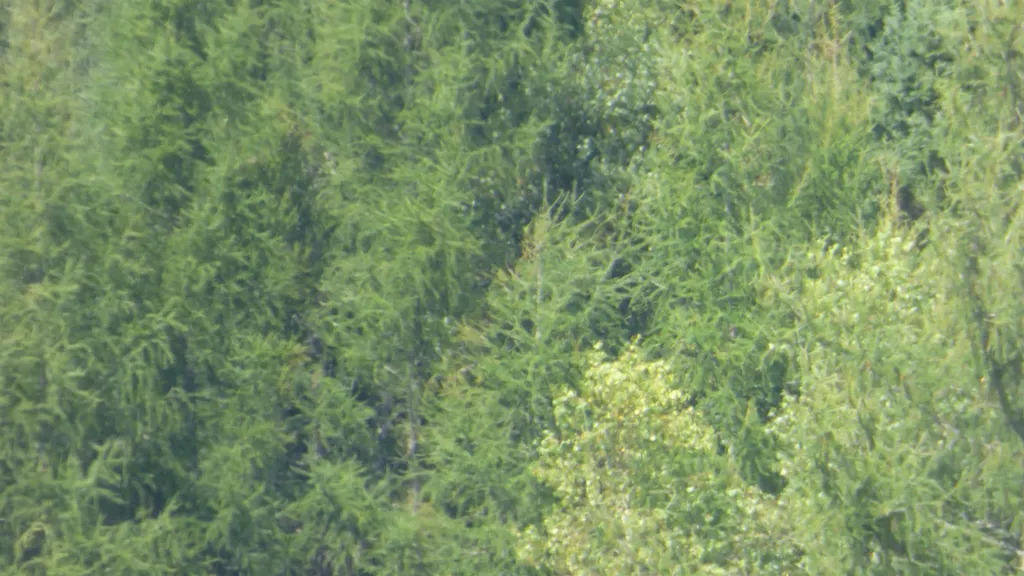 0 Bushey Hill Derby VT 05829