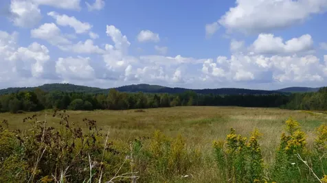 0 Bushey Hill Derby VT 05829