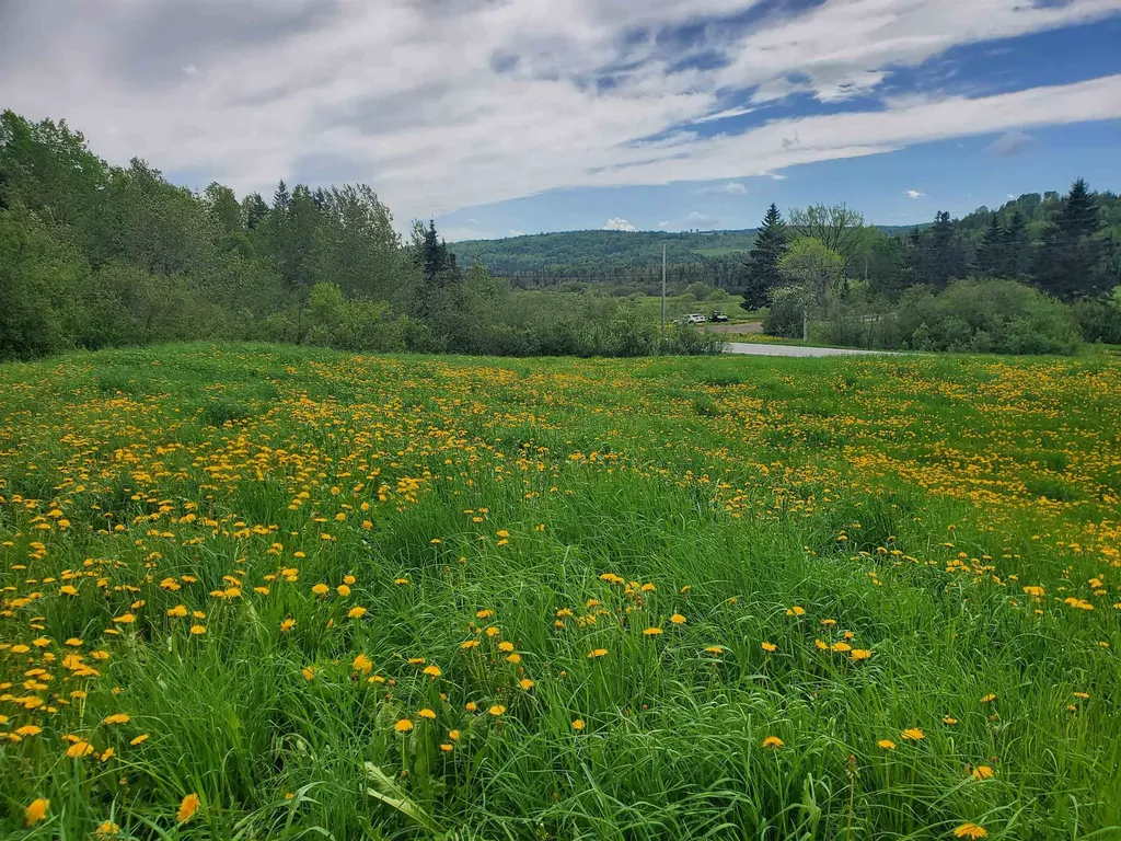 0 Vt Route 15 Walden VT 05873