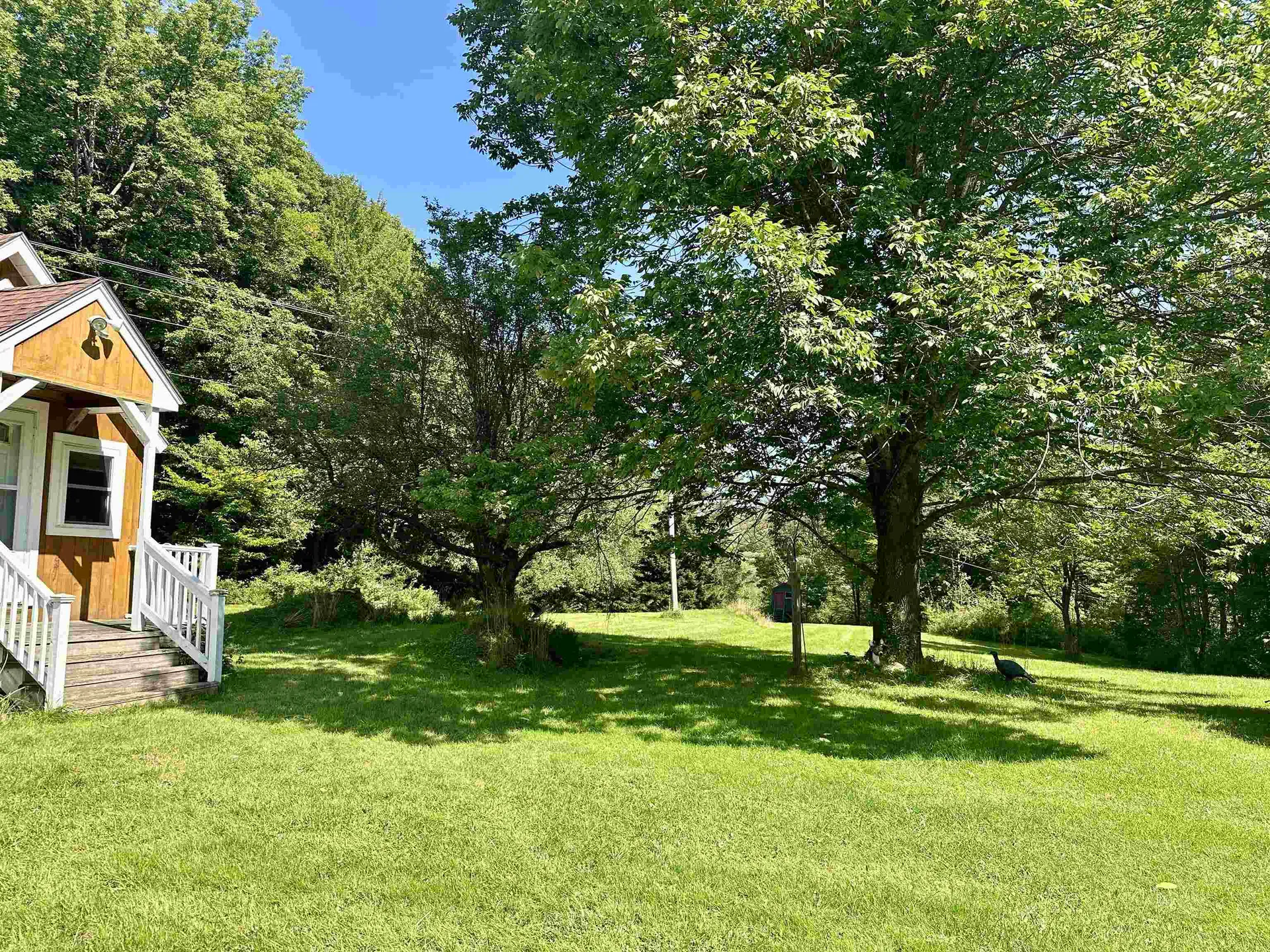 316 Messier Hill Road Northfield VT 05663