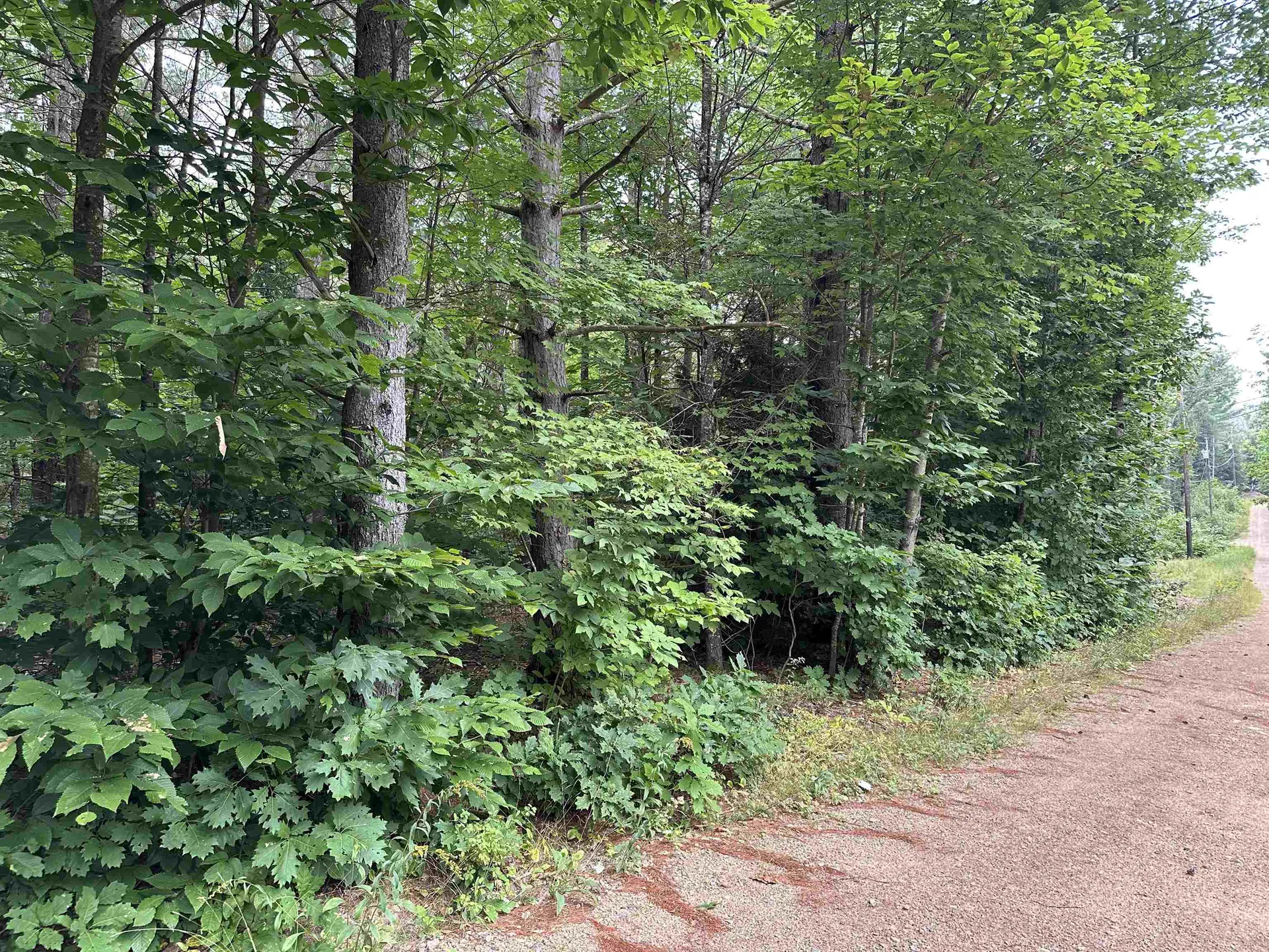 Lot 4 Wiles Road Bartlett NH 03812