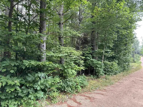 Lot 4 Wiles Road Bartlett NH 03812