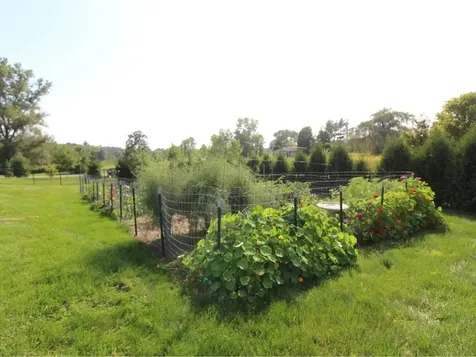 19 Collins Farm Road Colchester VT 05446