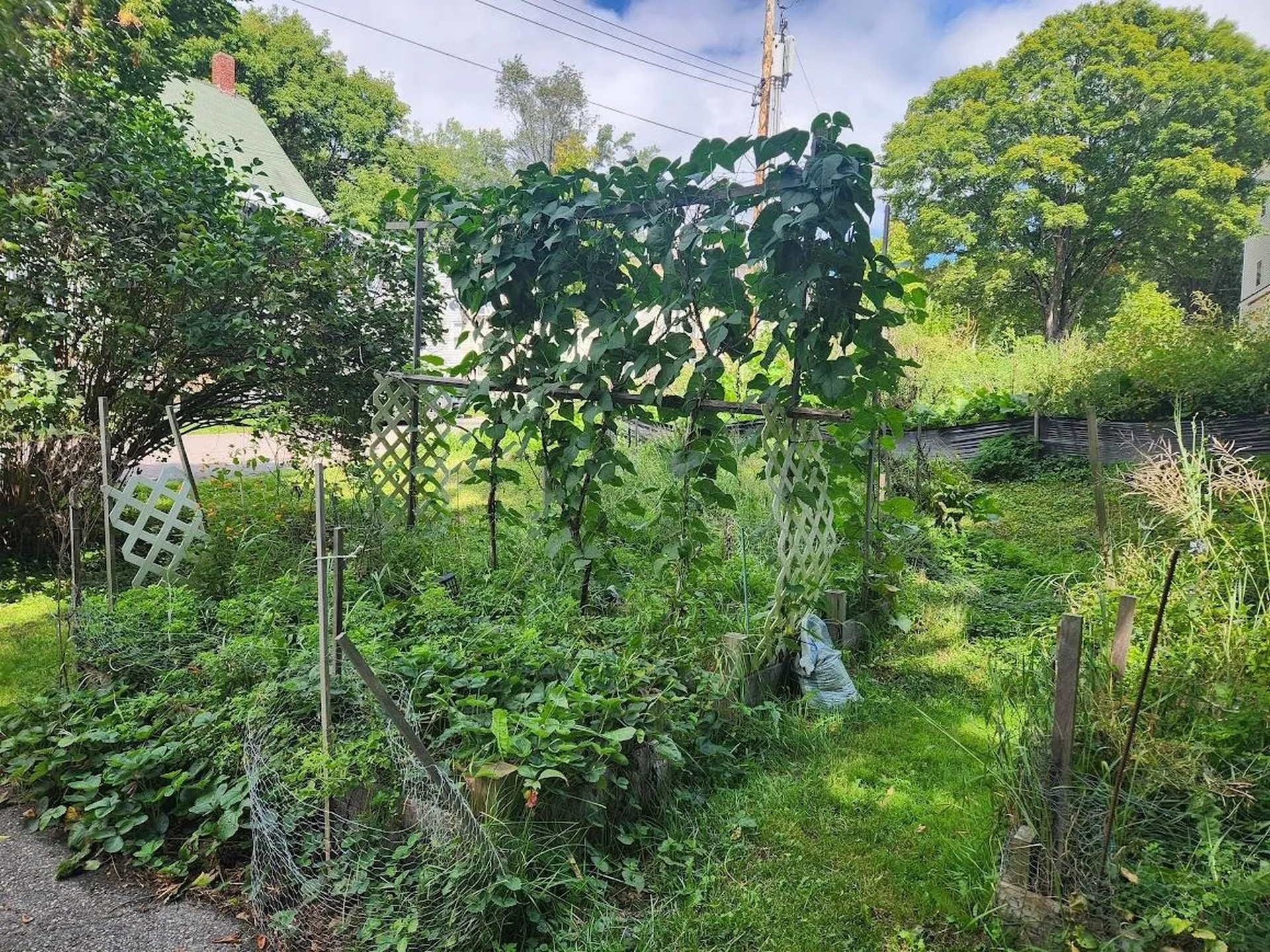 3 Hill Street Waterbury VT 05676