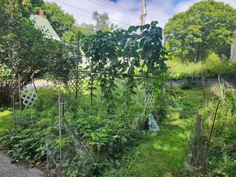 3 Hill Street Waterbury VT 05676