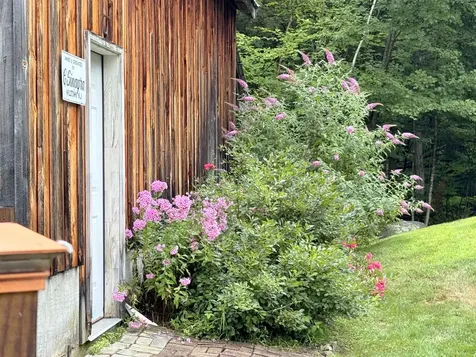 28 Winterhaven Road Wolfeboro NH 03894