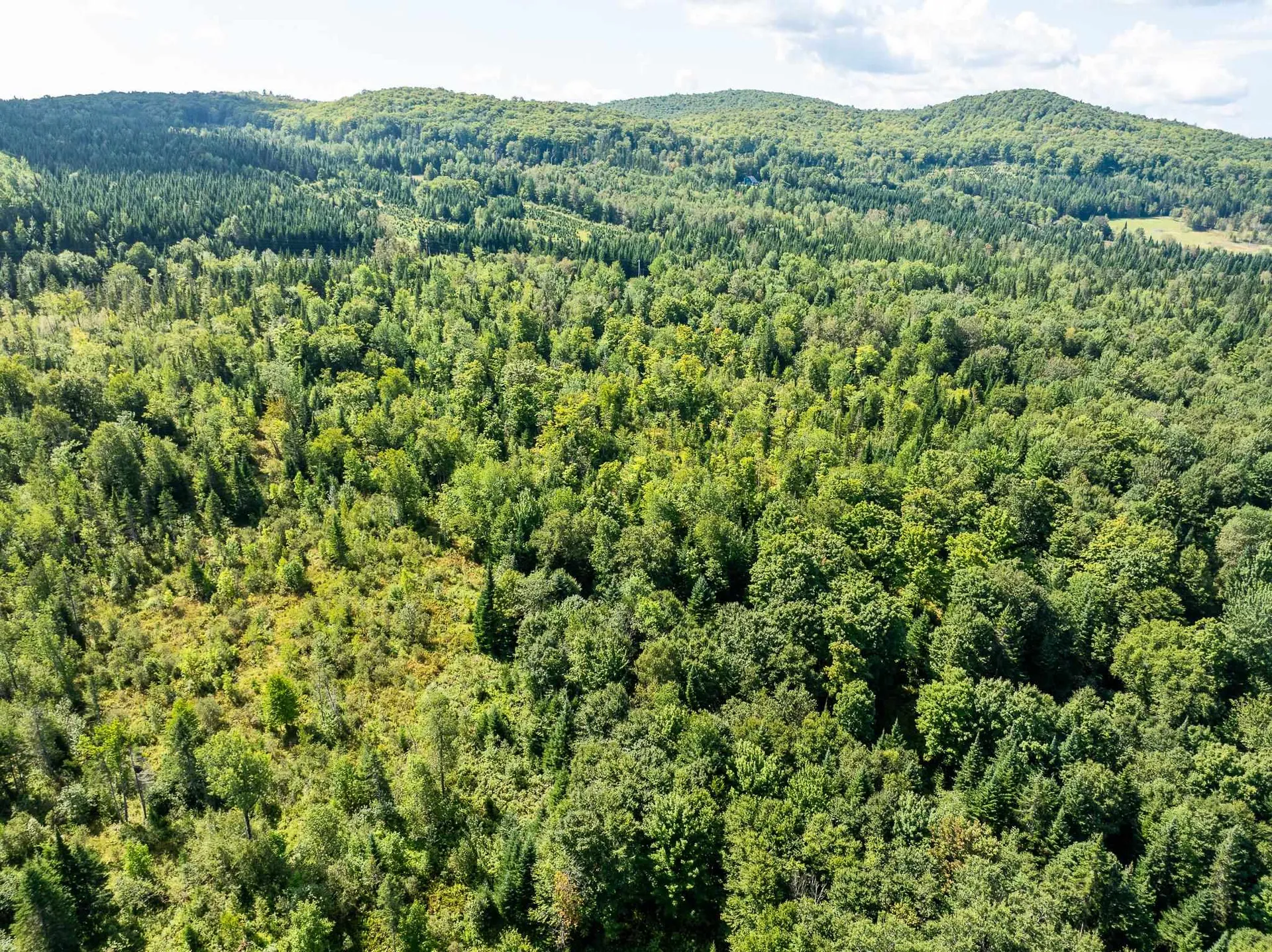 Tbd Vt Route 114 Canaan VT 05903