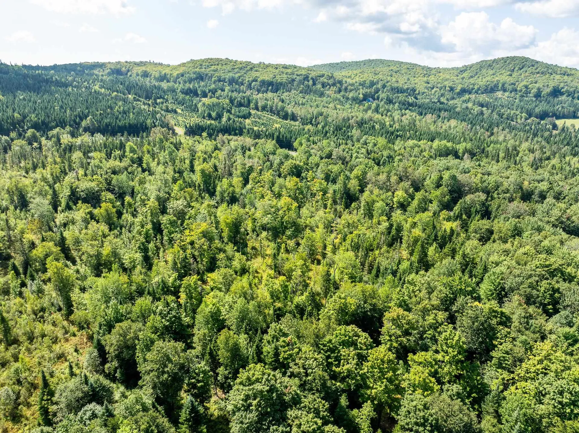 Tbd Vt Route 114 Canaan VT 05903