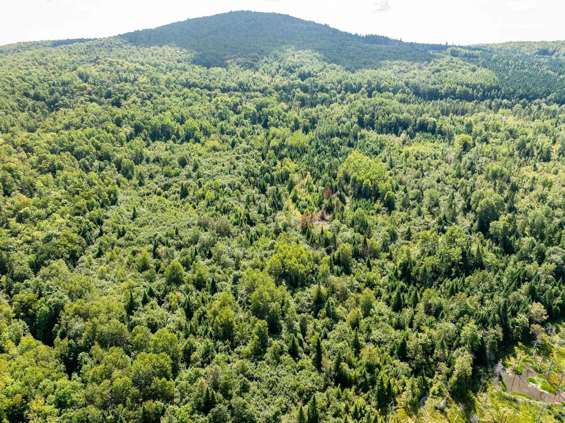 Tbd Vt Route 114 Canaan VT 05903