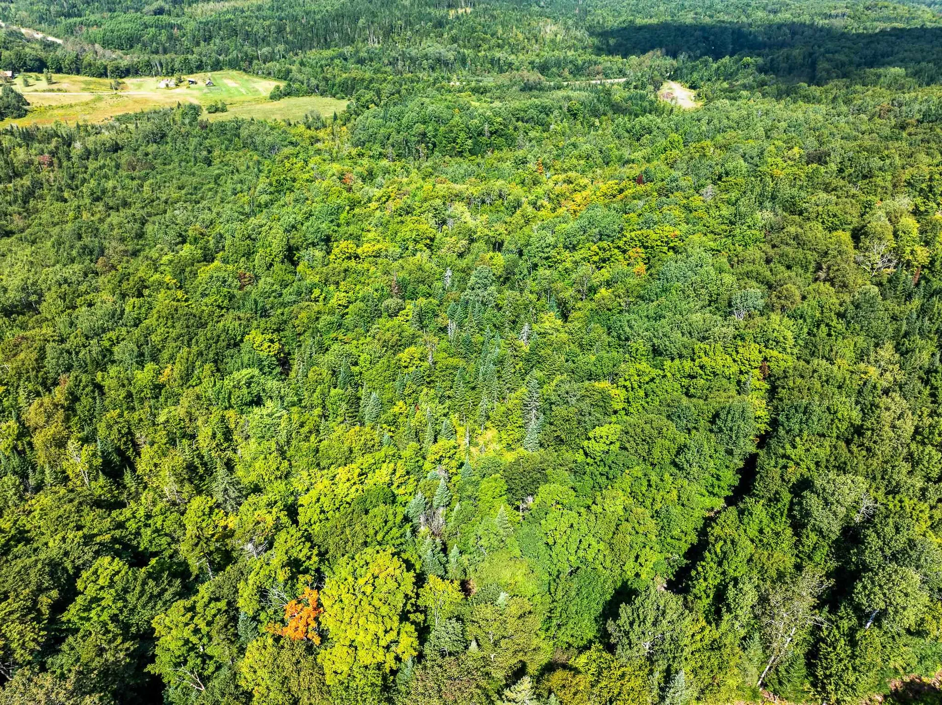 Tbd Vt Route 114 Canaan VT 05903