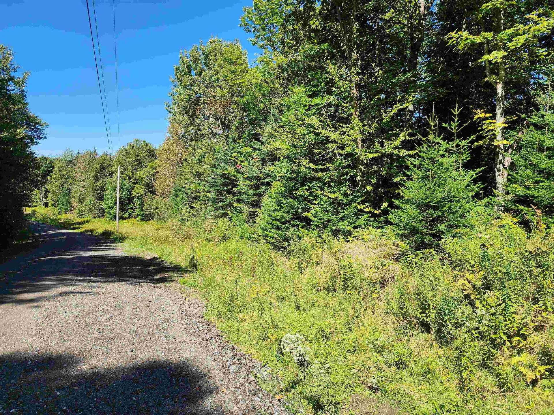 Tbd Vt Route 114 Canaan VT 05903