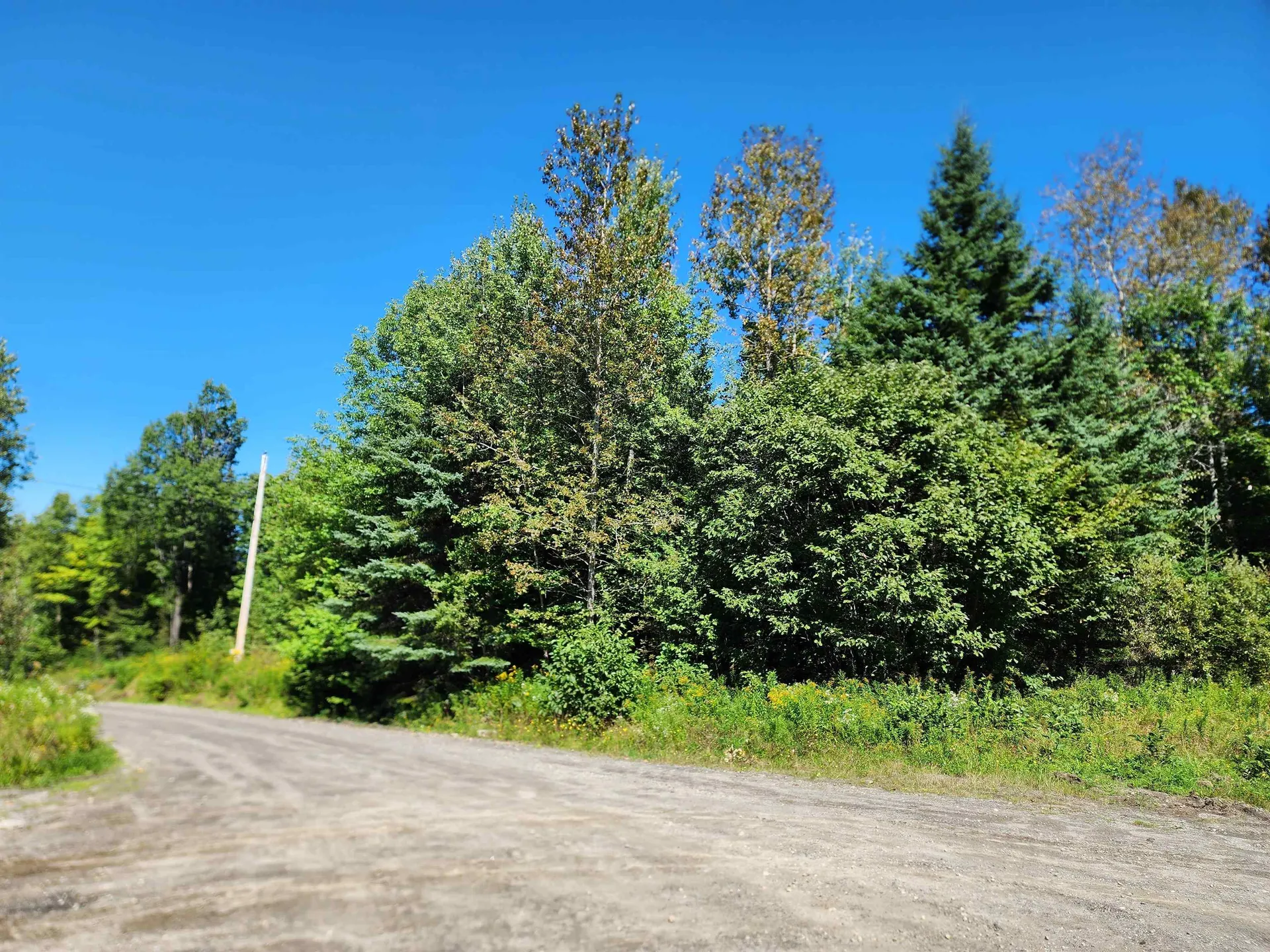 Tbd Vt Route 114 Canaan VT 05903