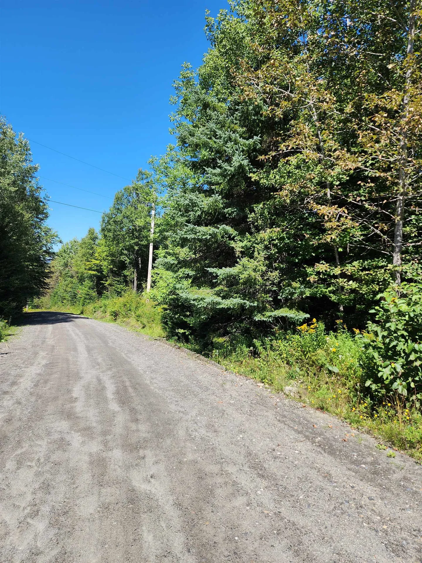 Tbd Vt Route 114 Canaan VT 05903