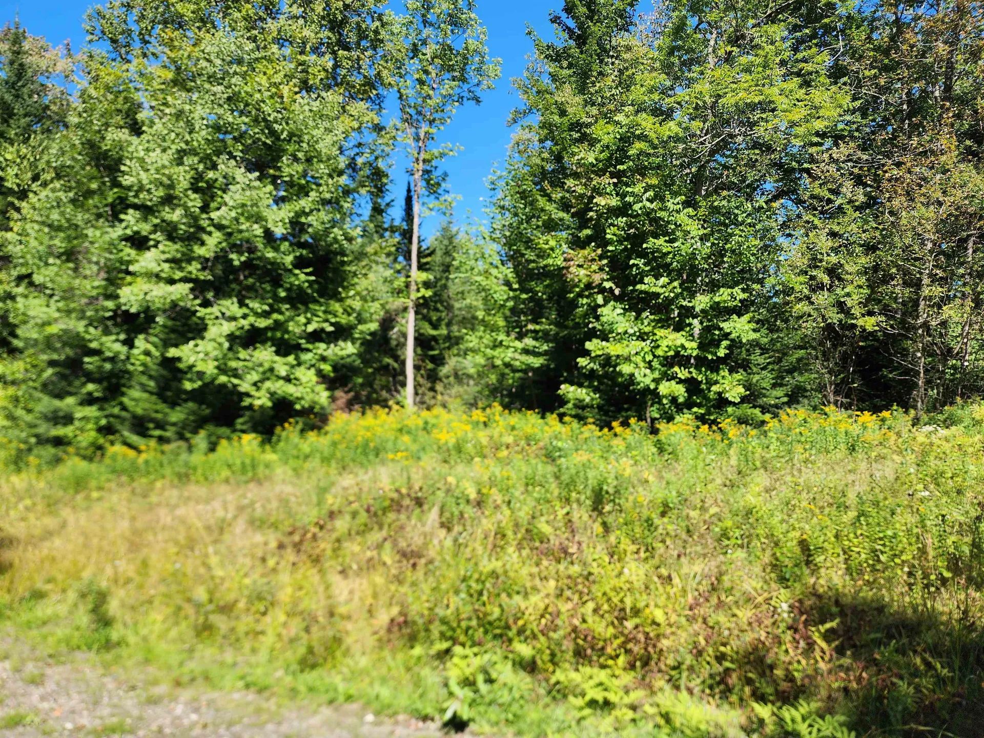 Tbd Vt Route 114 Canaan VT 05903