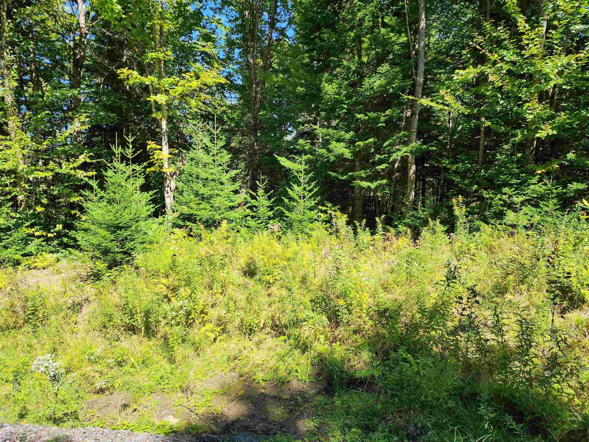 Tbd Vt Route 114 Canaan VT 05903