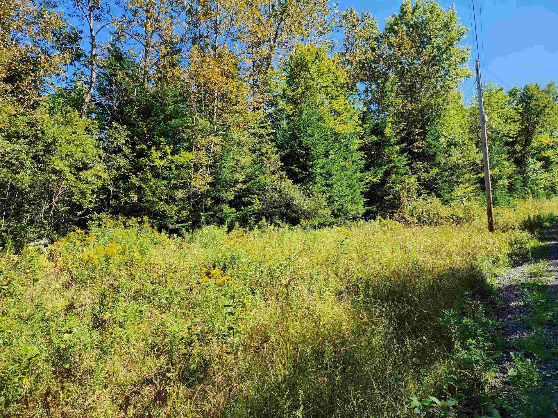 Tbd Vt Route 114 Canaan VT 05903