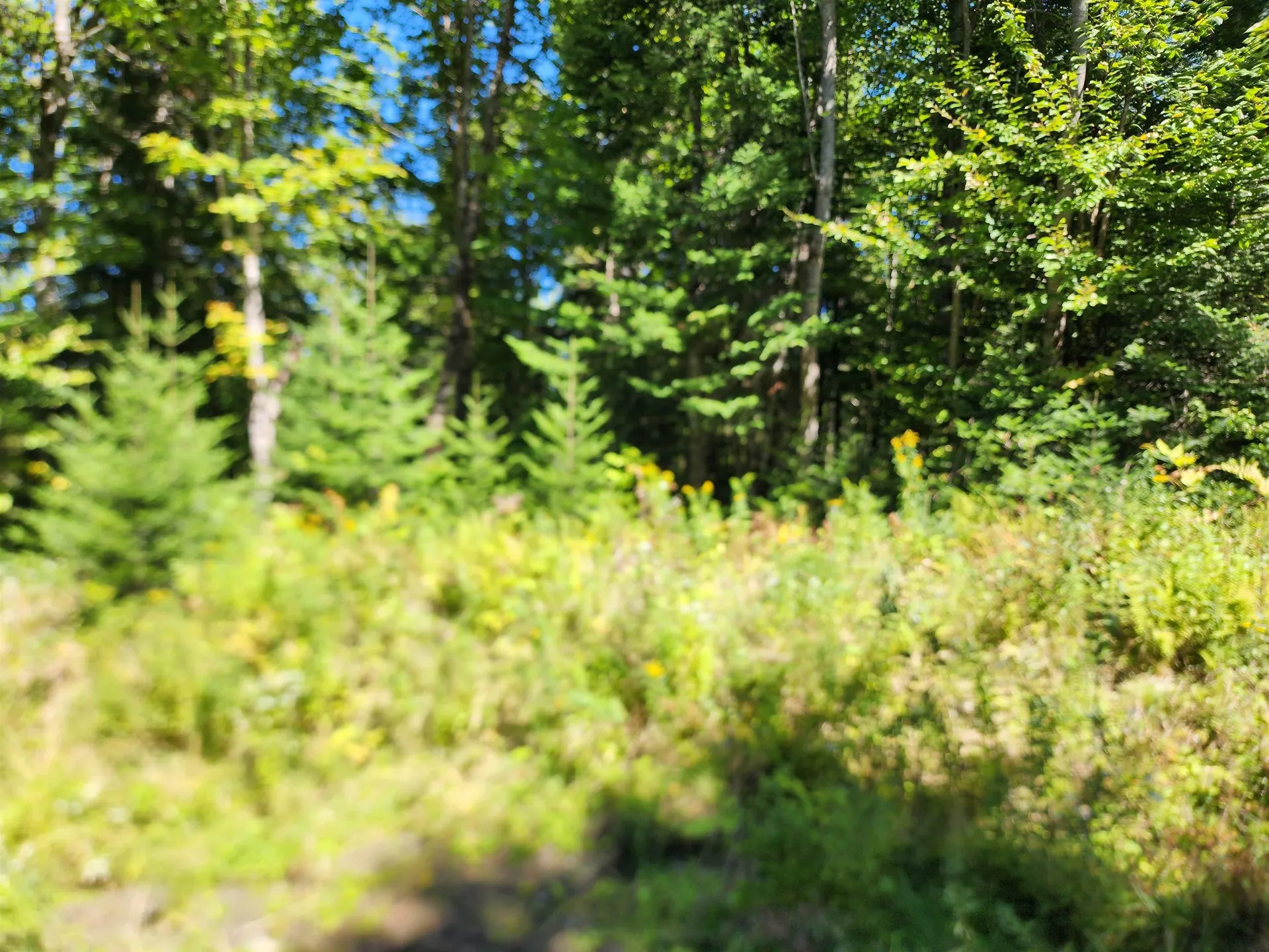 Tbd Vt Route 114 Canaan VT 05903