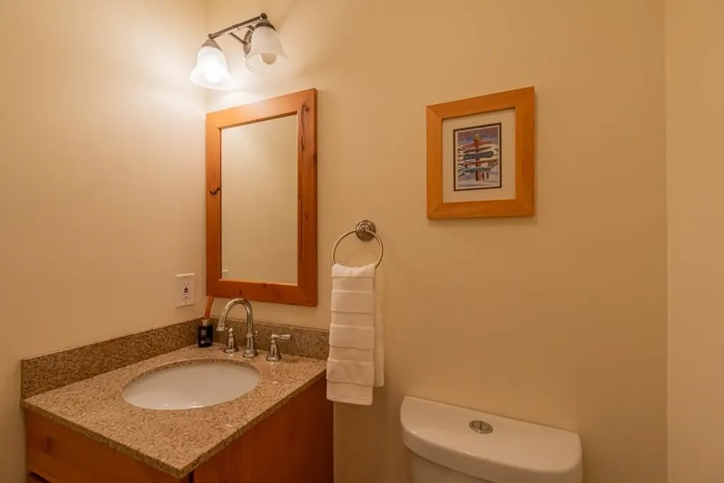 213 East Branch Farm Drive Manchester VT 05255