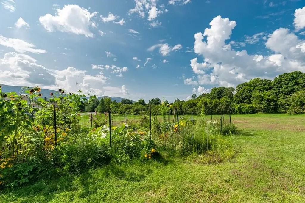 213 East Branch Farm Drive Manchester VT 05255