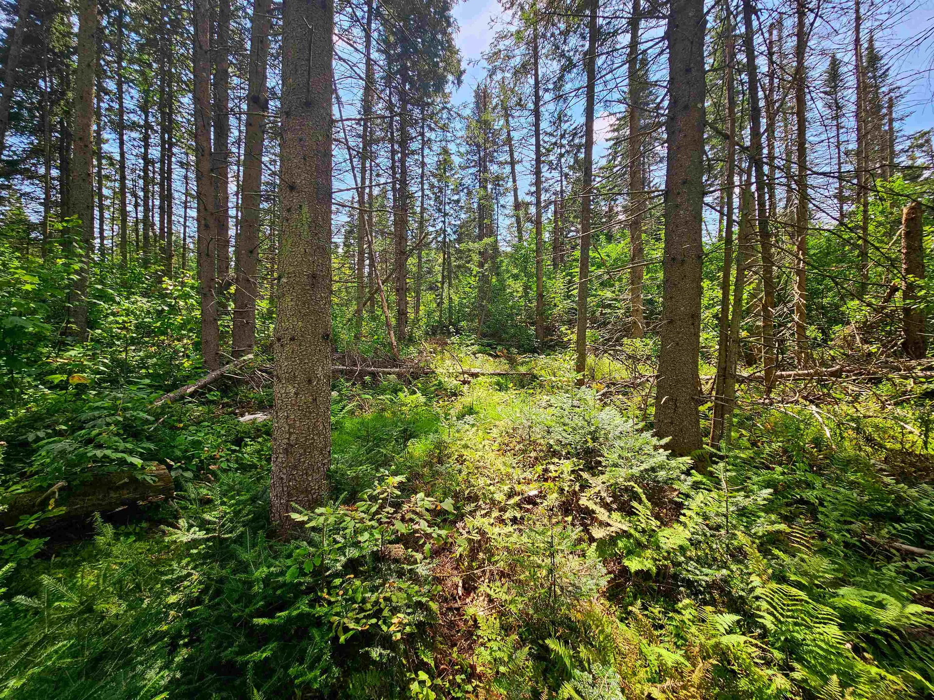 1746 Urban Farm Way Cabot VT 05647