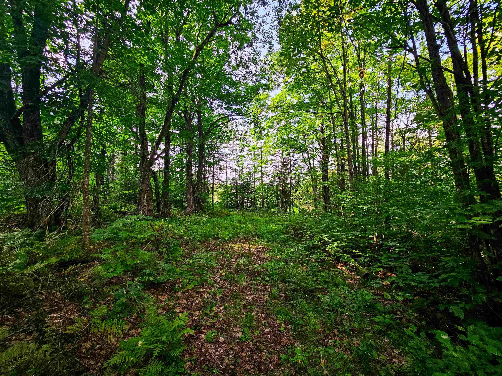 1746 Urban Farm Way Cabot VT 05647